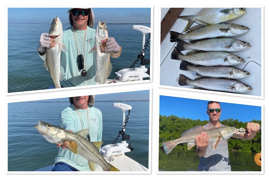 Trout, Snook, Redfish and Pompano