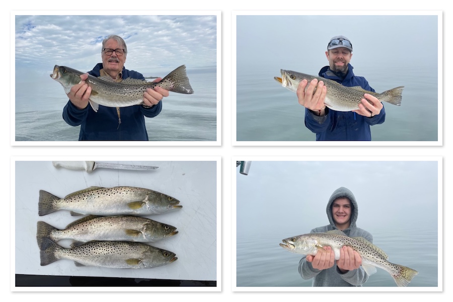 BIG Seatrout in Clearwater