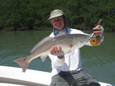 Tampa Redfishing in the mangroves