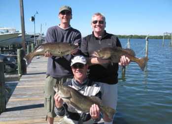 Tampa Fishing Charter for Gag Grouper