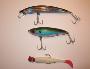 https://tampa-fishing-charter.com/wp-content/uploads/tampa-fishing/snook-lures.jpg